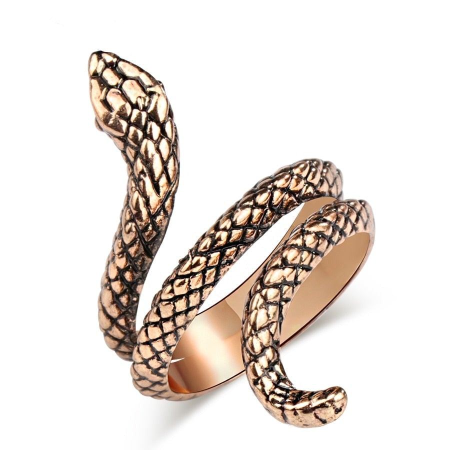 Ring - snake