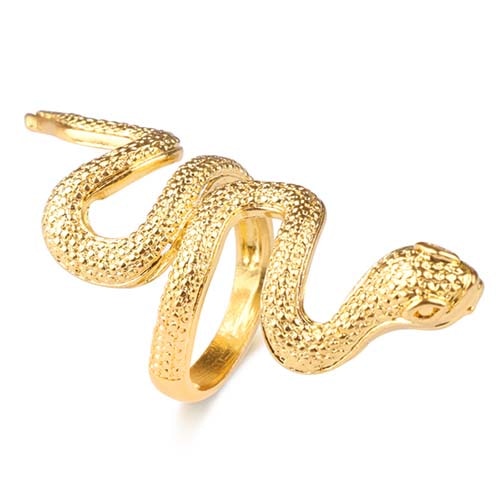 Ring - snake