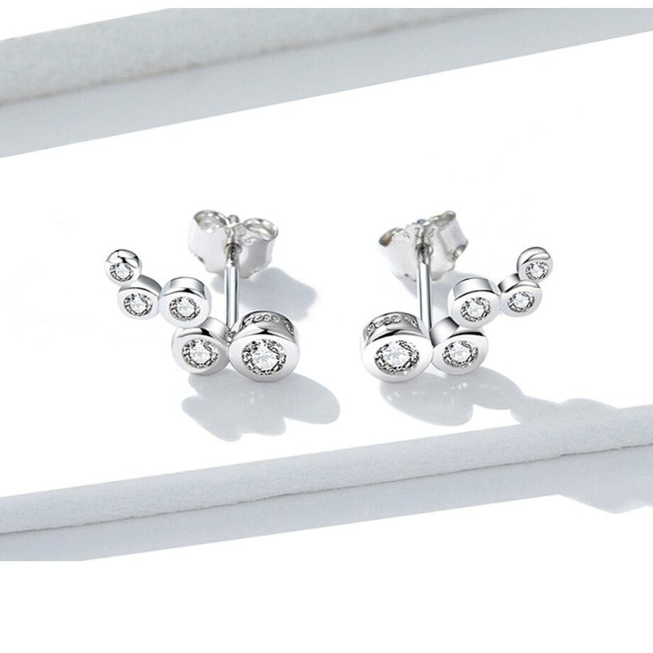 Silver earrings