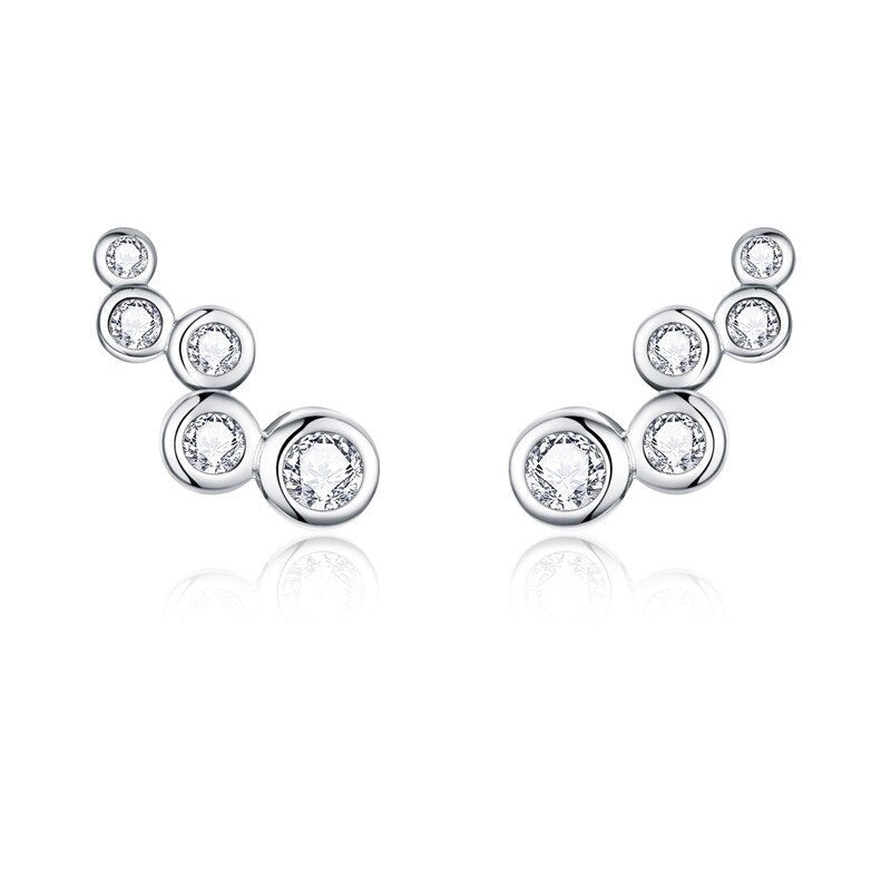 Silver earrings