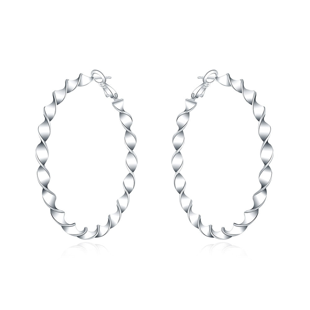 Silver earrings - circles