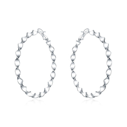 Silver earrings - circles