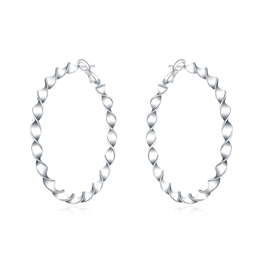 Silver earrings - circles